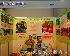 ��������N�����޹�˾����2015�����r(n��ng)����-2015��12�������r(n��ng)�Y���[��