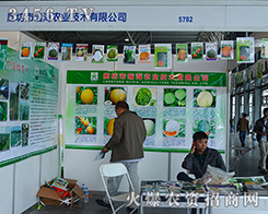 �ȷ������r�I(y��)չ���ϵı��F(xi��n)�A���˶�κ���