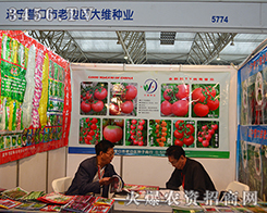 �I������߅�^(q��)��S�N�I(y��)չ����ֻ�îaƷ�|���fԒ