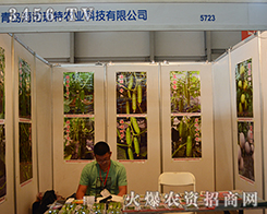 ���u���Z�����r�I(y��)��څ��