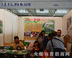 ����и���N�������r�Y�ИI(y��)��ǰ��