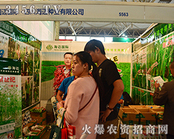 2015�����r�������Ĵ����~�N�I(y��)������