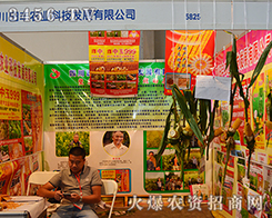 �Ĵ����S�r(n��ng)�I(y��)�Ƽ��l(f��)չ���޹�˾����2015�����r(n��ng)����-2015��12�������r(n��ng)�Y���[��