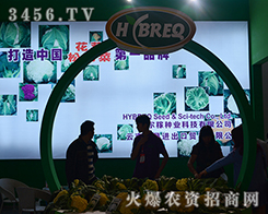 �ݠ��ڷN�I(y��)�ļ��g�v��o��չ���������ӡ��