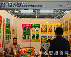 �Ŀh��·�߲��о����ſ�չλ���˲�Ŀ��