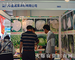 �B�T�ЏB�߲˷N���|(zh��)���Q��һ����