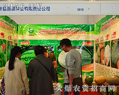 �½���(gu��)�y�N�I(y��)�M�M�Ķ����ի@��