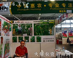 ���л��r(n��ng)�N�I(y��)��(zh��ng)���r(n��ng)�Y�ИI(y��)�I(l��ng)�^����