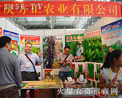 �ؑc�����r(n��ng)�I(y��)���޹�˾����2015�����r(n��ng)����-2015��12�������r(n��ng)�Y���[��