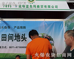 2015�����r(n��ng)�����{�Ȭ����Q(m��o)�����������A���˴�ҵ�����