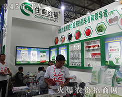 ɽ�|ס�̼t���r(n��ng)�I(y��)�l(f��)չ�ɷ����޹�˾����2015�����r(n��ng)����(hu��)-2015��12�������r(n��ng)�Y���[��(hu��)