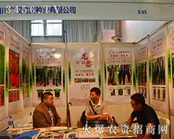 �V�h��ʢ�N�I(y��)��2015�����r(n��ng)�Y���[���ϏV�ܲ�Ŀ