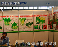 ������(��i)���f(w��n)˹�N�ӹ����r(n��ng)�Yʢ��