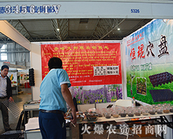 ������ݘI(y��)�N��̎����2015�����r(n��ng)����(hu��)-2015��12�������r(n��ng)�Y���[��(hu��)