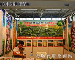 �ӱ�ʡ�f(w��n)ȫ�h�G�S�N��չ�^�ZĿ����