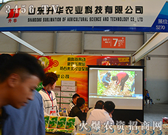 ɽ�|���A�r(n��ng)�I(y��)�Ƽ������Ƿ���