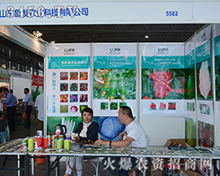 ɽ�|ʡ�i�ǿh���l(f��)�����c��2015�����r(n��ng)����