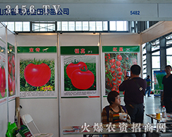 ɽ�|�۹��н���N���Ů�����