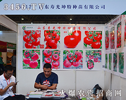 �۹����طN���������ϴ�����̸߳�