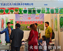 տ���д���߲˷N�ӊ^����Ϣ��