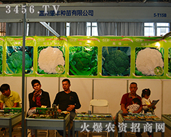 �㽭ʡ�������S�N�����޹�˾����2015�����r(n��ng)����(hu��)-2015��12�������r(n��ng)�Y���[��(hu��)