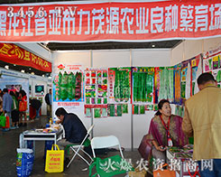 ������ʡ������ïԴ�r(n��ng)�I(y��)��Ů���