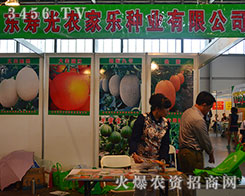 �۹��r(n��ng)�Ҙ��N�I(y��)�M�M�Ķ����ի@��