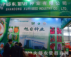 ���շN�I(y��)�P�����w