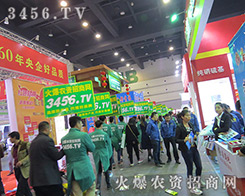 �������e�O���ϵĻ��r(n��ng)�Y���̾W(w��ng)��(zh��n)ʿ��