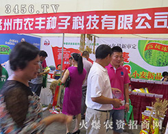 �������r(n��ng)�S�N�ӿƼ������ǰ�M(j��n)�����~��ɹ��ı˰�