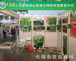 ���_(d��)�����N�緱������ʢ�b��չ2016��ʮ���������r(n��ng)�Y��