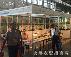 ɽ�|���S�N�I(y��)2016�����r(n��ng)�Y���������ď�(qi��ng)��