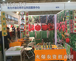 �����طN�I(y��)�۹����(w��)��������2016�����r(n��ng)����