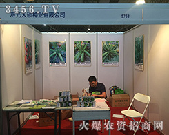 2016�����r(n��ng)�Y���ω۹���T�N�I(y��)����ٝ�u