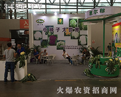 ���ݠ��ڷN�I(y��)����׷��(chu��ng)����2016�����r(n��ng)�Y����ȫ��