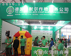 ����Ĭ�����F(tu��n)��2016�������r(n��ng)�Y��(hu��)���u(p��ng)����