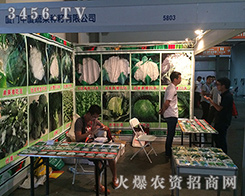 2016�����r(n��ng)�Y���ϏB�T�ЏB�߲˷N�����޹�˾�Ԫ��صĹ���ģʽ�ͷ������c����ȫ��