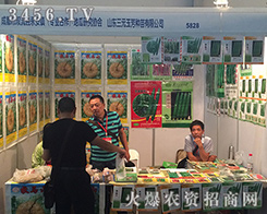 ɽ�|�񷼷N��2016�����r(n��ng)�Y���ի@�H�S