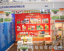 �h�Q����2016���������r(n��ng)�Y�������չ�