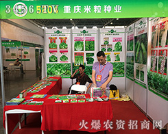 2016���������r(n��ng)�Y���ؑc�����N�I(y��)һƥ�������u�ĺ��R��