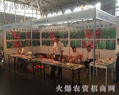 �fʢ�N�I(y��)��2016�����r(n��ng)�Y���[��һ֦������