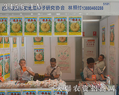 �Ĵ��p�������عϷN���о��f(xi��)��2016�����r(n��ng)�Y���𺳁��u