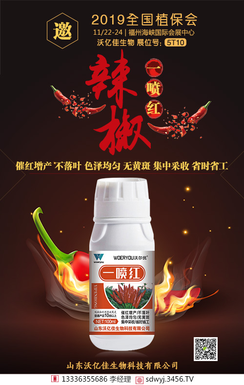 ����һ���t