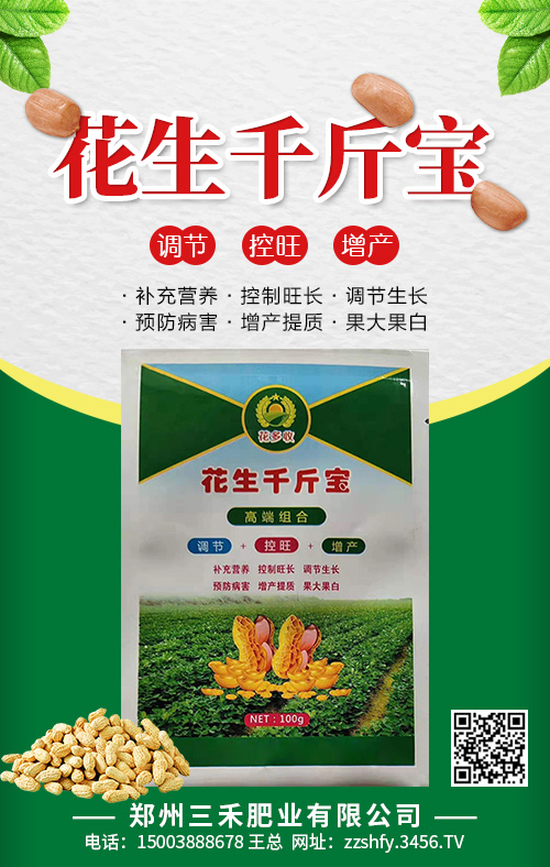 ����ǧ�