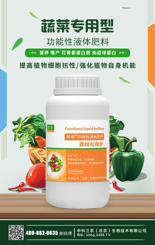 大棚蔬菜種植利潤(rùn)怎么樣?大棚蔬菜種植技術(shù)大全! 大棚蔬菜種植利潤(rùn)怎么樣?大棚蔬菜種植技術(shù)大全!