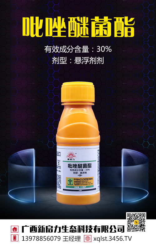 �����Ѿ���