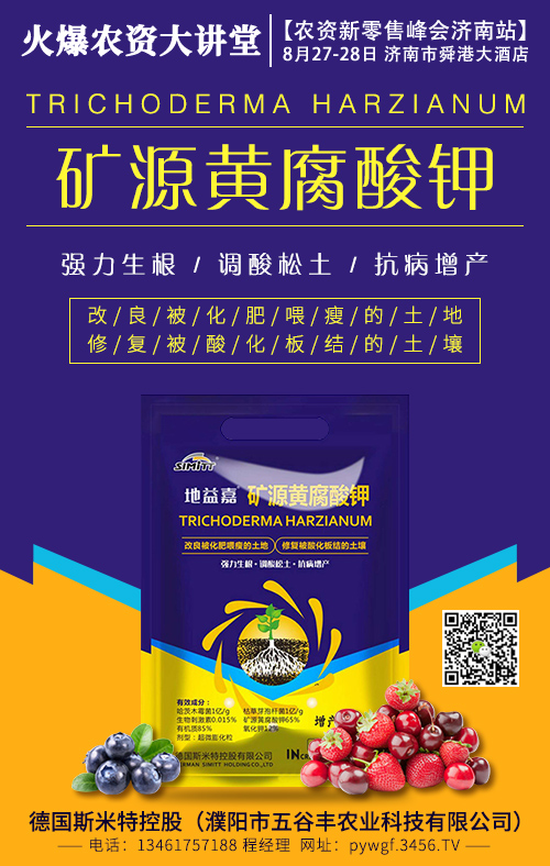 �VԴ�S�����