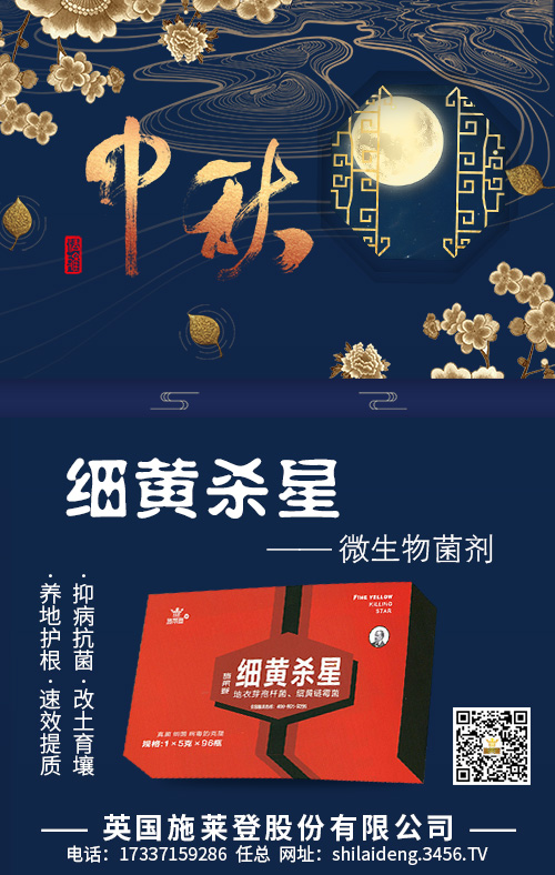 ���S����