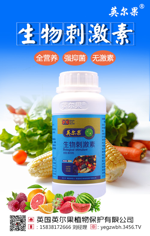 ����̼���