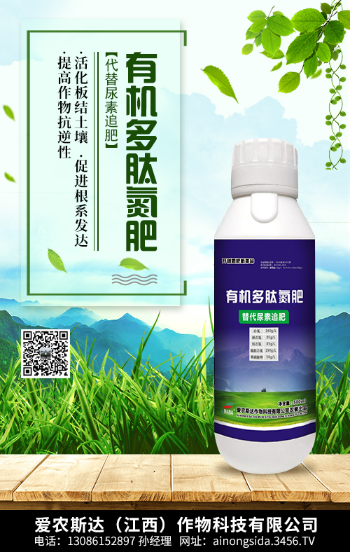 �ЙC���ĵ���